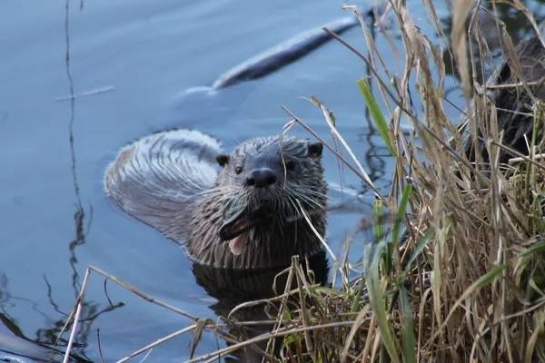 IMG_9697 I'll Pick Up The Bill by Jon. D. Anderson is licensed under CC BY-NC-ND 2.0.